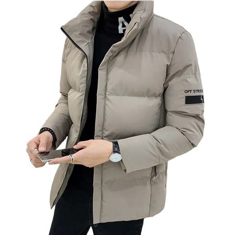 سترة سترة كلاسيكية للرجال بياقة واقفة مبطنة بالقطن ملابس خارجية دافئة وكاجوال سميكة معطف شتوي جديد #2