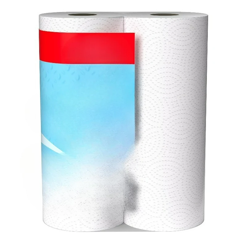 Everyday Strong Paper Towels, 2 Double Rolls