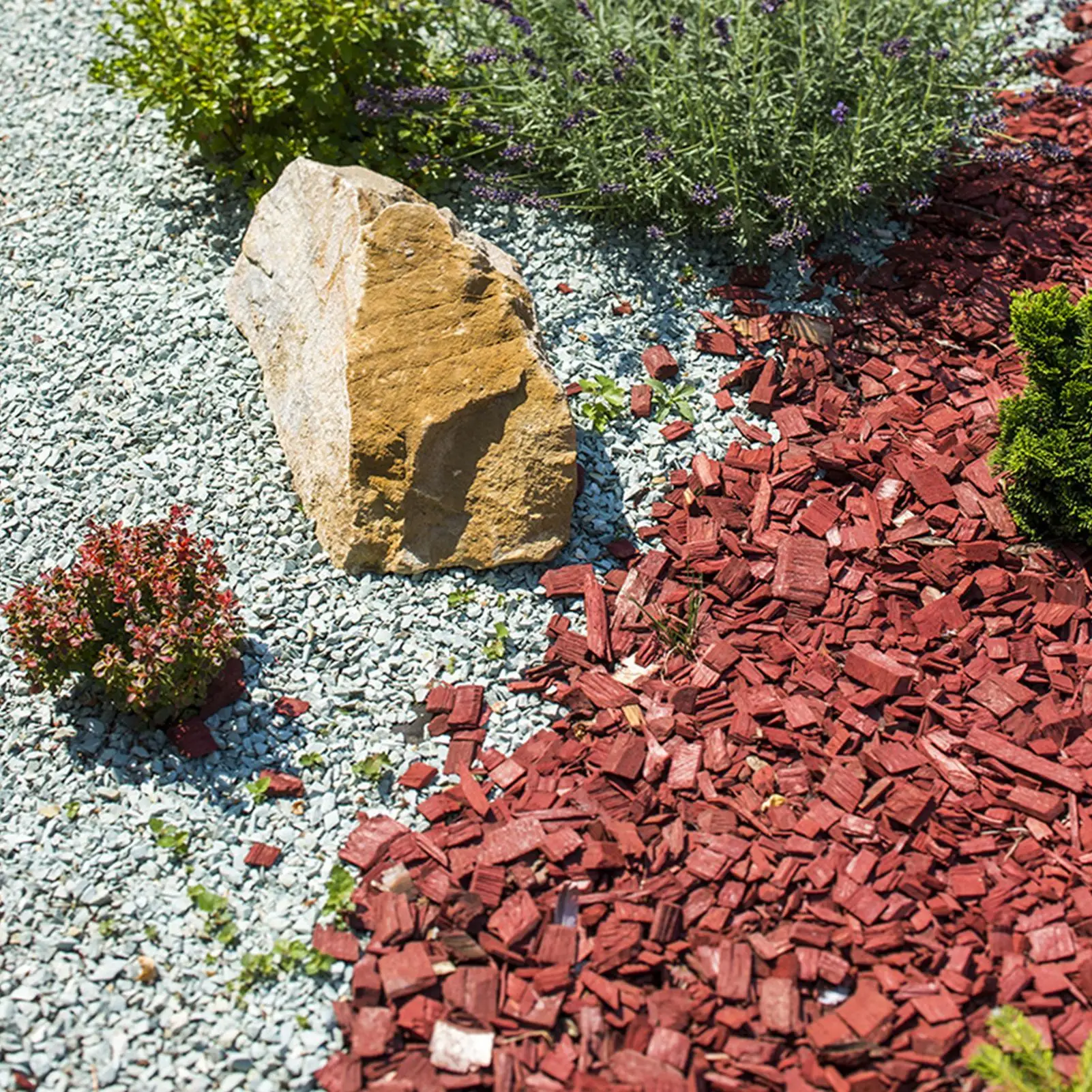 : Pintura para césped y mantillo de jardín