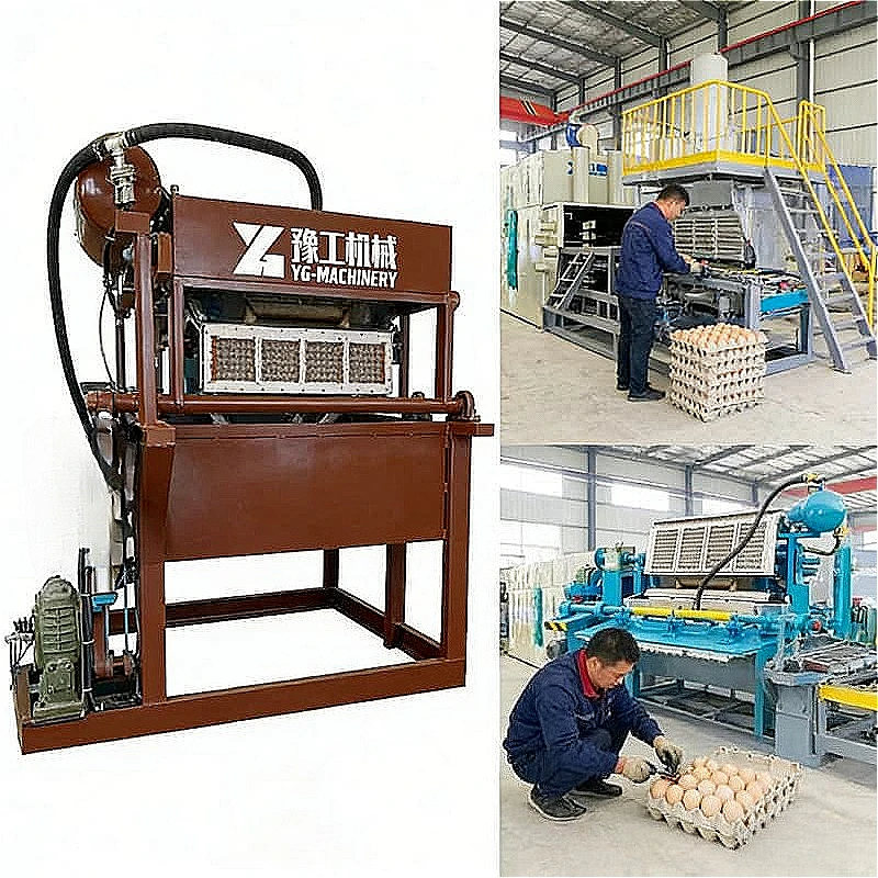 High Efficiency Rotary Egg Tray Making Line Multi Type Paper Tray Production Machine Integrated Pulp Molding Machine Customized