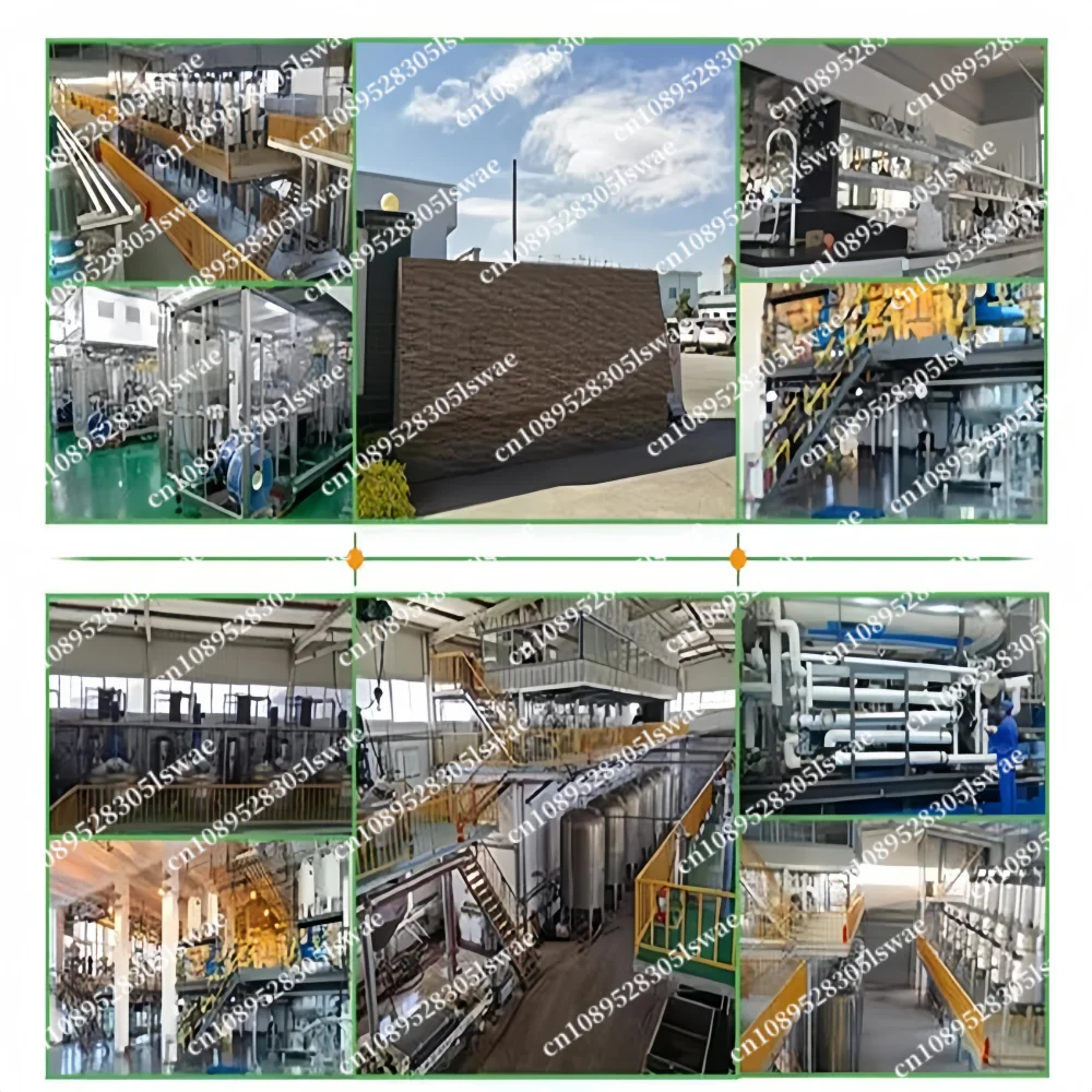 Sacchetti ricaricabili personalizzati per imballaggio in foglio di alluminio con estratto di Rhodiola Rosea per una spedizione veloce