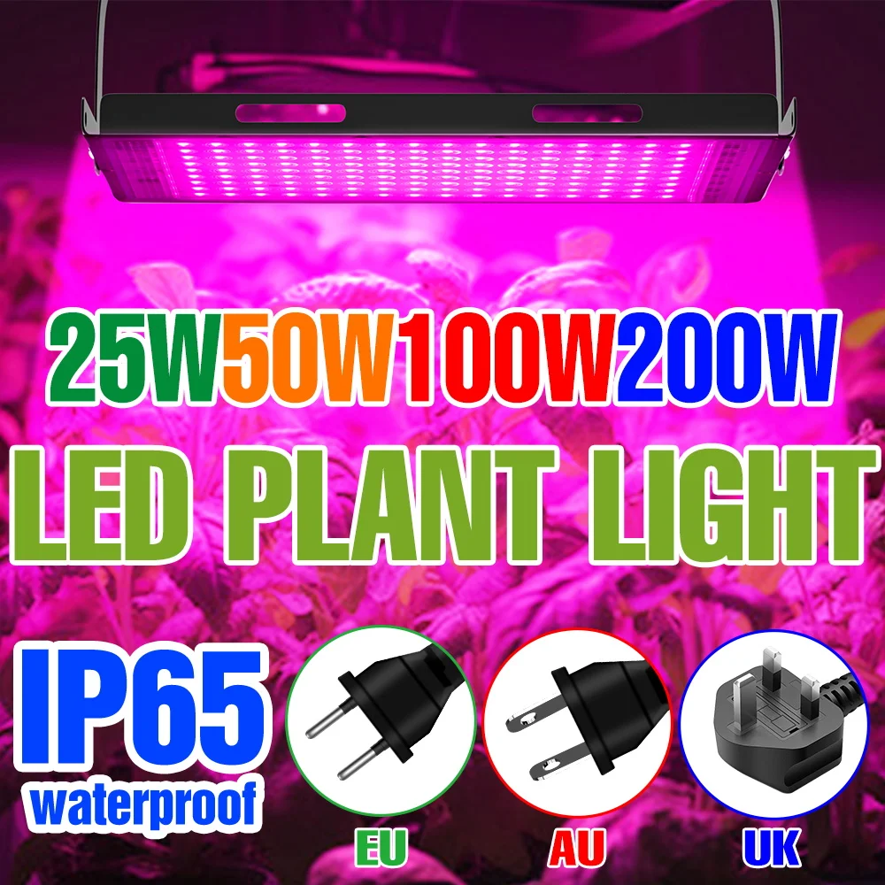 200W Full Spectrum LED Grow Light Indoor Hydroponic Plant Lamp Greenhouse Tent Growth Box Flower Seeds Cultivation Fill Lighting