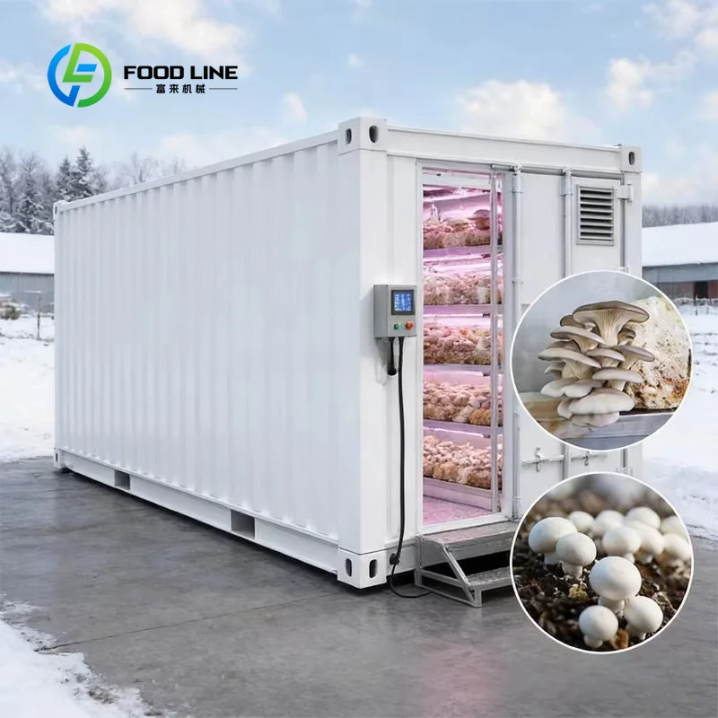 Modular Container Farm for Indoor Agriculture Urban Farming Hydroponic Leafy Greens Vertical Growing System Turnkey Project