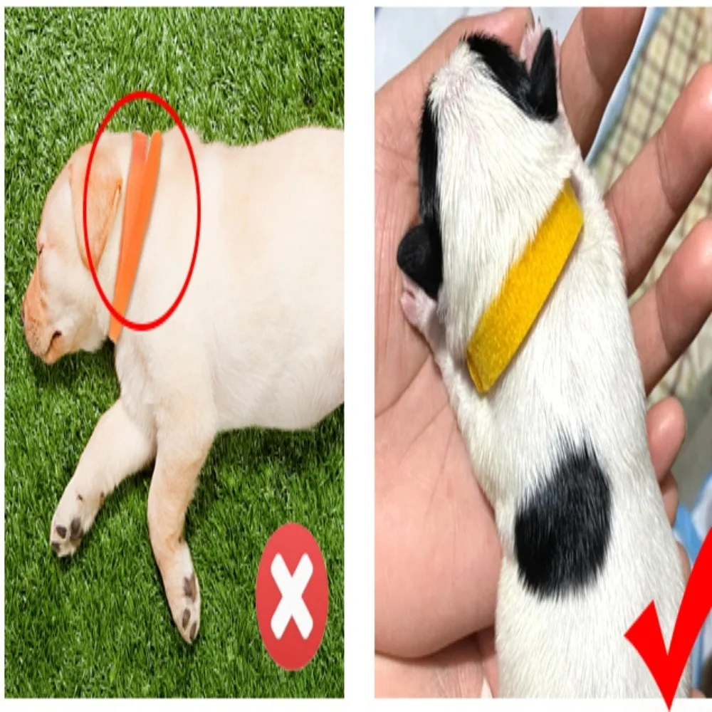 15pcs/set Colorful Pet Collar Identification Tape for Kittens and Puppies Adjustable Nylon Buckle Mark Collar Pet Accessories