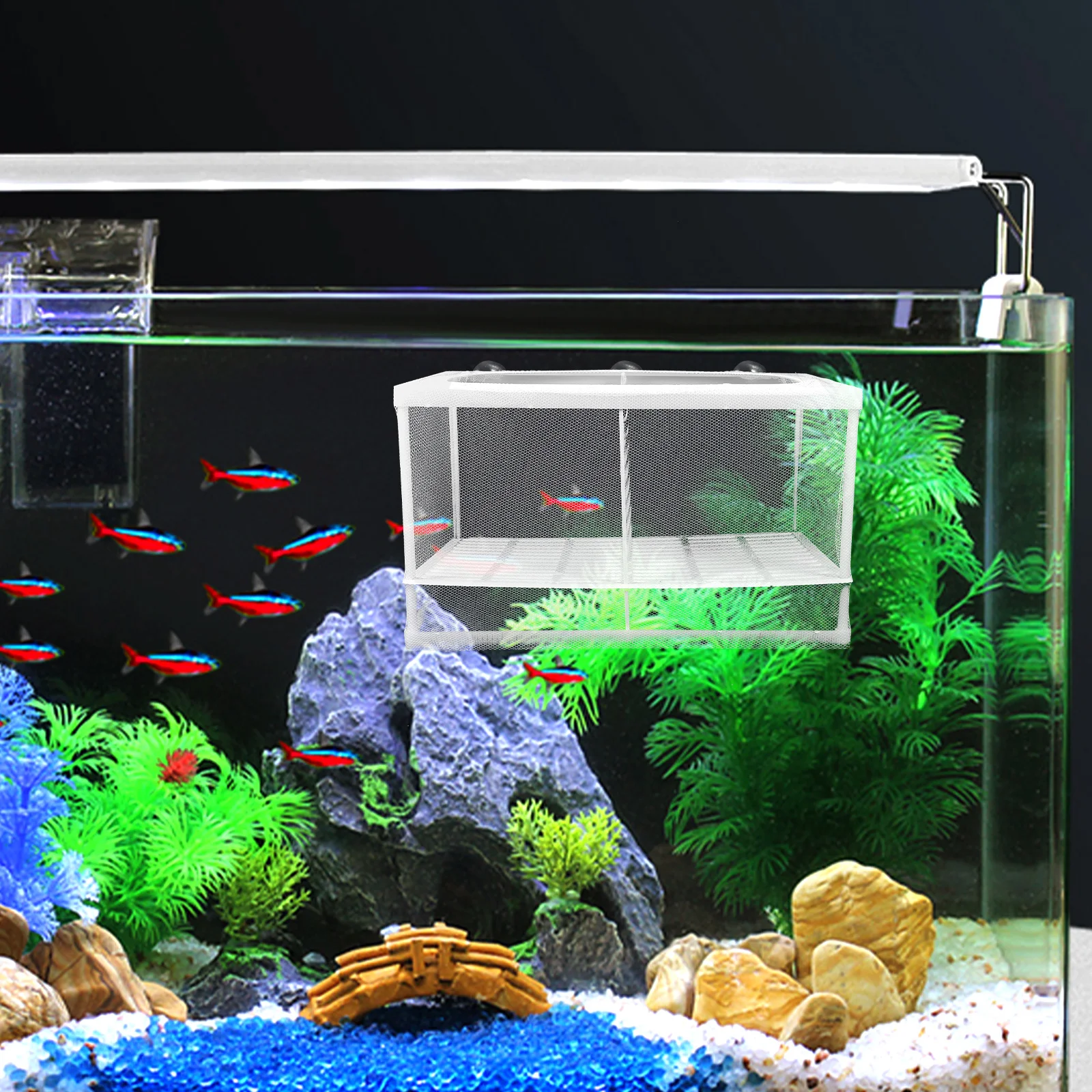 

2Pcs Isolation Net Aquarium Breeding Tank Large Capacity Fish Hatching Boxes Suction Cup Easy Installation Fish Protection