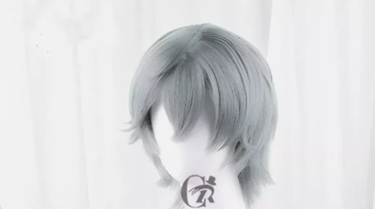 Sousou no Frieren Wise Cosplay Wigs 35cm Short Straight Grey Men Synthetic Hair