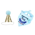 Blue Hat Bibs