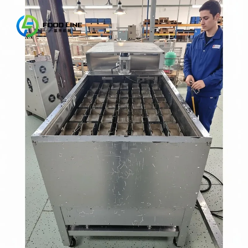 Customized 0.3~10 T Per Day Direct Cooling Commercial Ice Block Making Machine for Fishery Seafood Cooling and Food Preservation