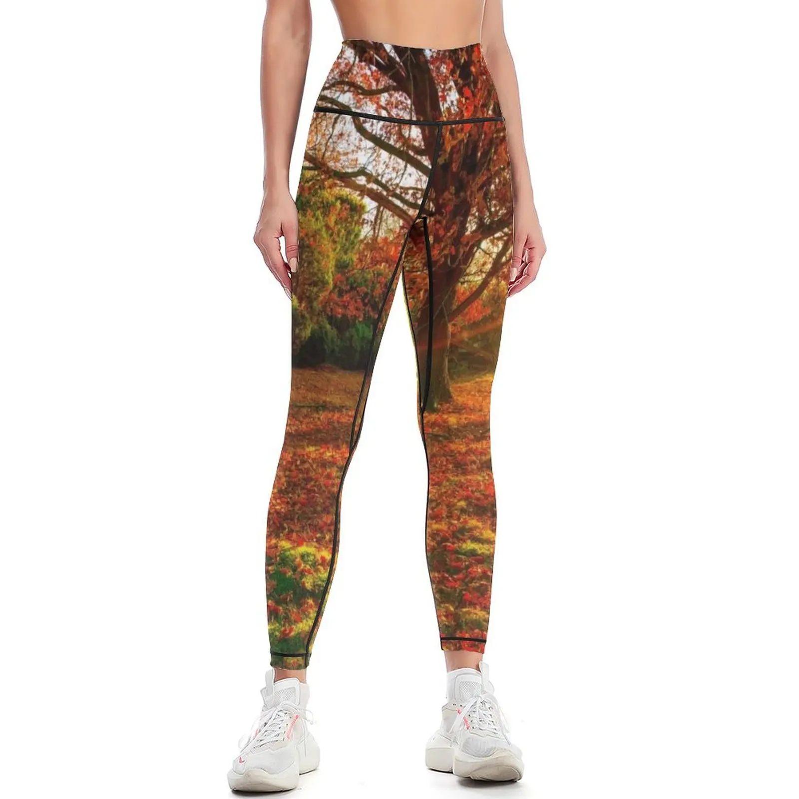 Remarkable sunny landscape - Inspiration Leggings sportswear gym sports for gym Women sports Womens Leggings