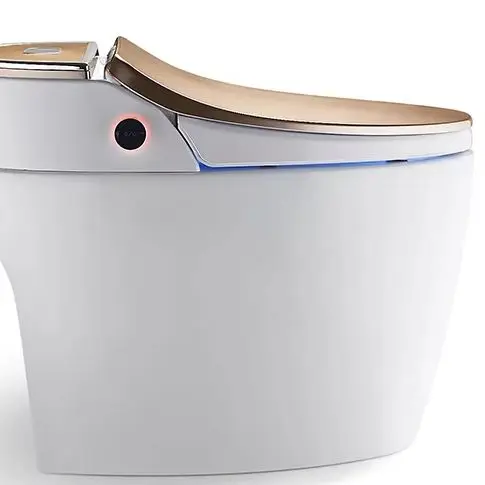 

Popular Remote Control Smart Toilet, Luxurious Floor Mounted Ceramic WC Bowl, Automatic Intelligent Flush Sanitary Ware for Home