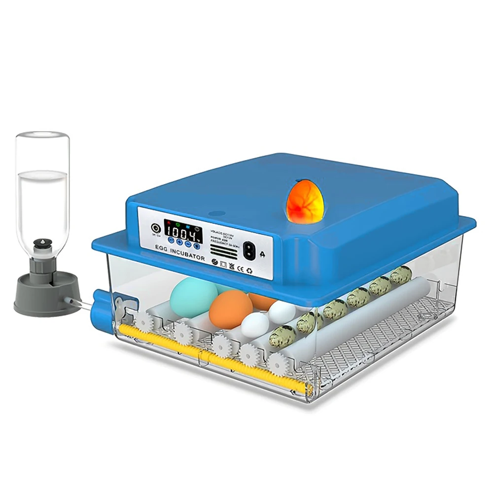

Eggs Incubator 16 Eggs Digita Mini Automatie Incubatores for Goose Quail Chicken Egg Hatching Fahrenheit or Celsius Display