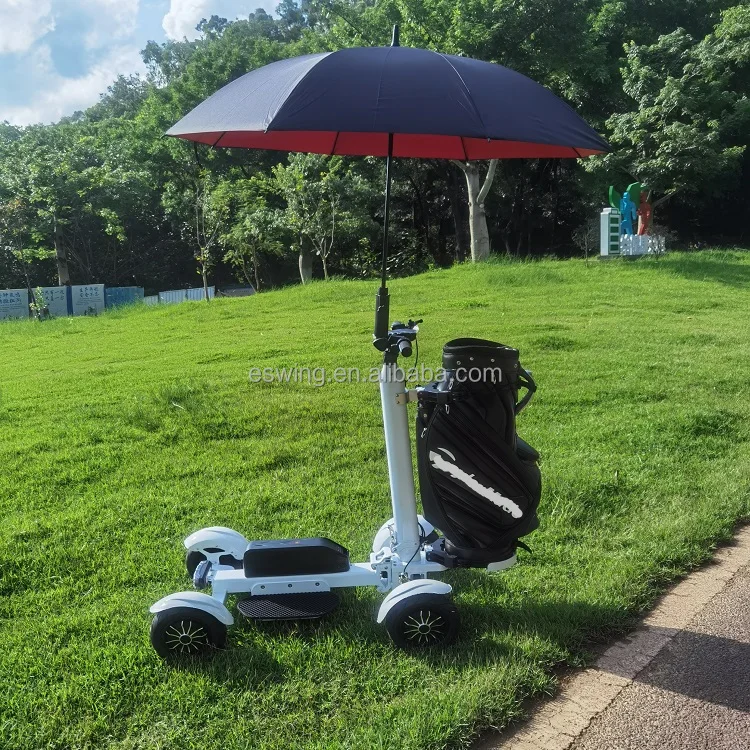 2400W Brushless High Power Detachable Long Range 48V 20AH Lithium Battery 4-Wheel Foldable Mini Cart Disc Brake 18km/h