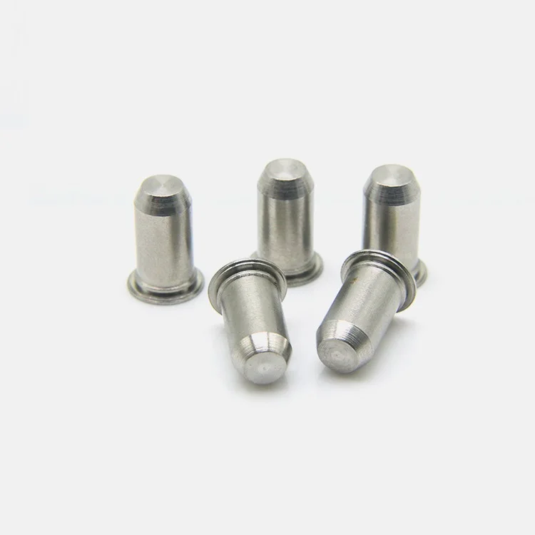 Rivetti in acciaio inossidabile Imperial Tps 304 che posano perni cilindrici con perno di guida con anello elastico