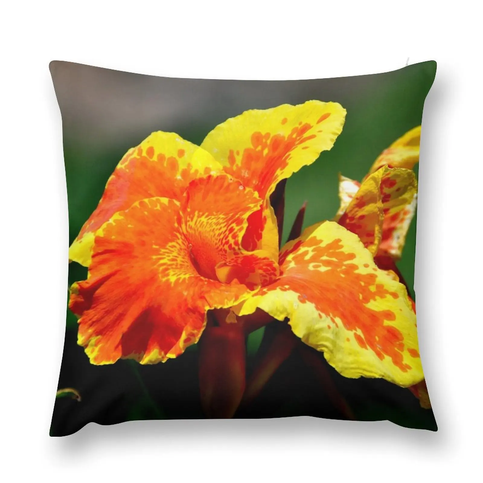 

India - Udaipur, Flower Throw Pillow pillow pillowcase Pillows Aesthetic Christmas Pillow Cases