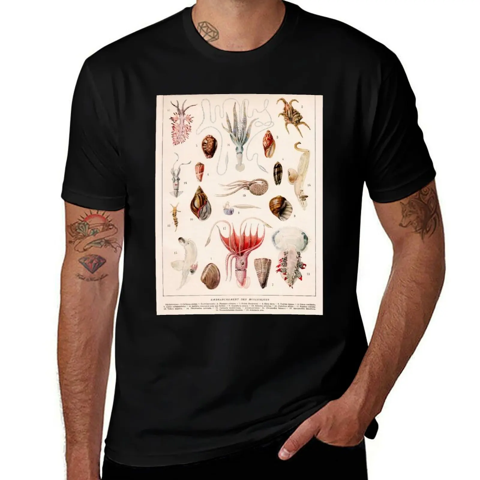 Adolphe Millot - Mollusques 01 - French vintage zoology illustration T-Shirt Trendy Casual Short Sleeve Shirt