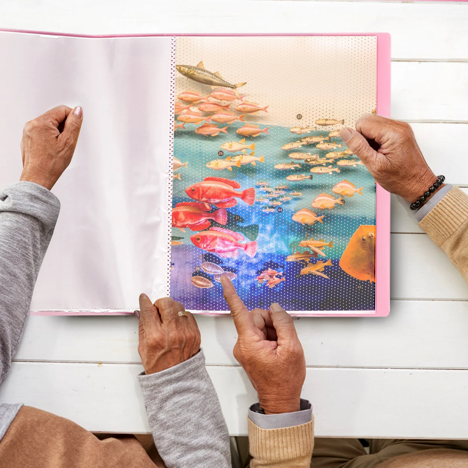 

2pcs Diamond Art Storage Book Portable Plastic Portfolio Folder For Organizing Paintings Art Supply Storage Organizer