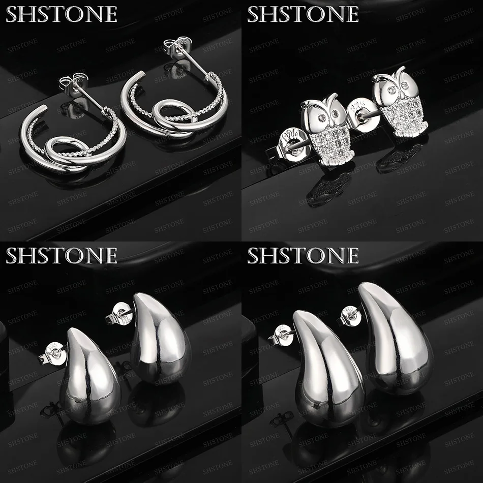 

AAA Zircon 925 Sterling Silver Circular Surround Owl Water Drop Stud Earrings Fashion Design Jewelry Accessories Birthday Party