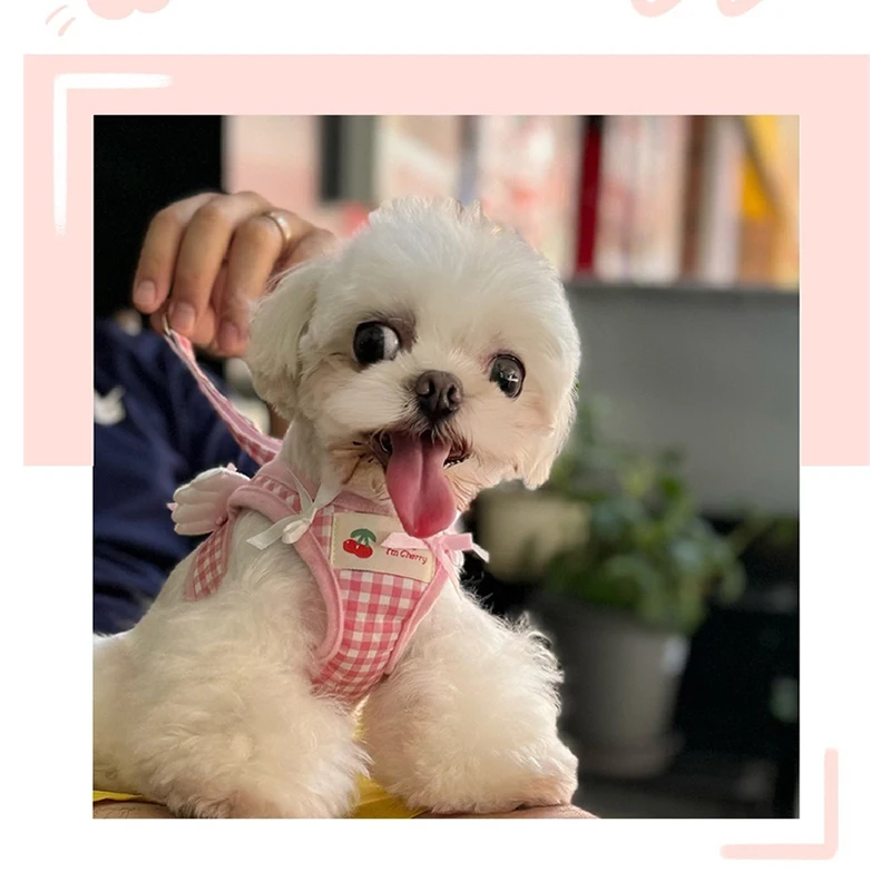 New Design Pet Dog Harness Set Pink Lattice Angel Wings Decorate Polyester Chest Traction for Small Puppy Bow Tie Soft Cat Leash