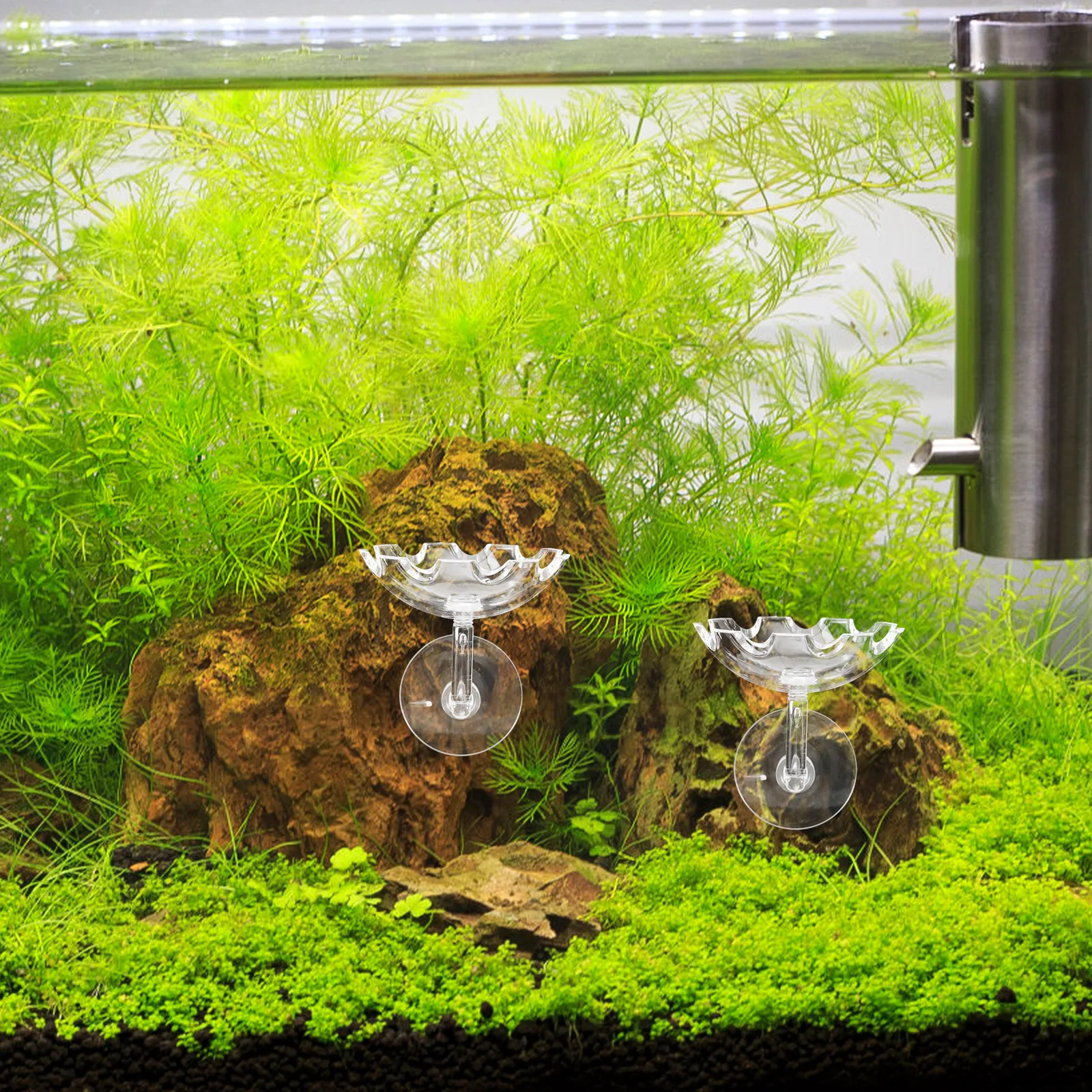 

Plastic Shrimp Feeder Fish Tank Tray Aquarium Supplies Transparent Dish Shrimp Bowl Feeding Trays Reptiles Food Freshwater
