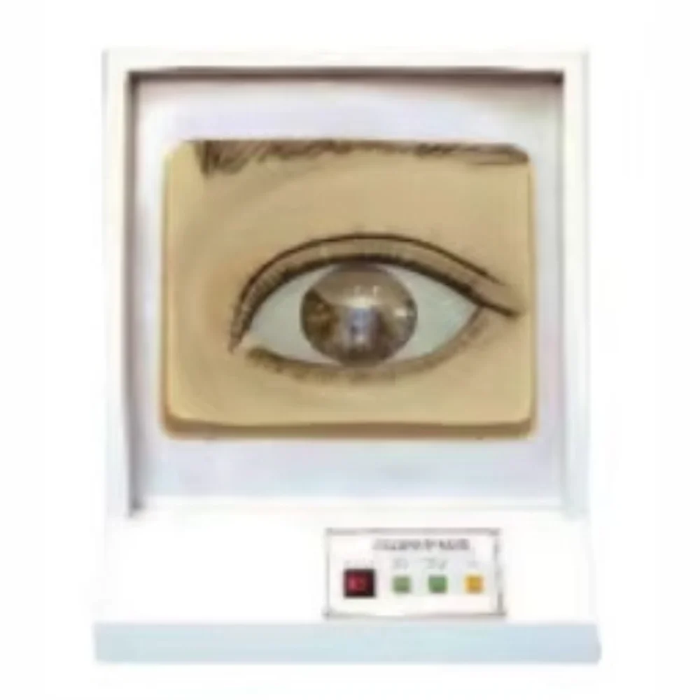 Light-controlled Pupillary Regulation Teaching Model Ophthalmic Medical Science Anatomical Magnified Eye Demonstration Model Hot