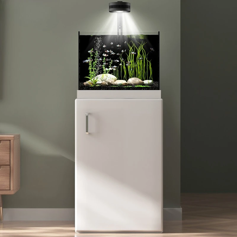 

small square tank, living room, ecological bottom filter, fish tank, water change-free, household aquatic plant tank