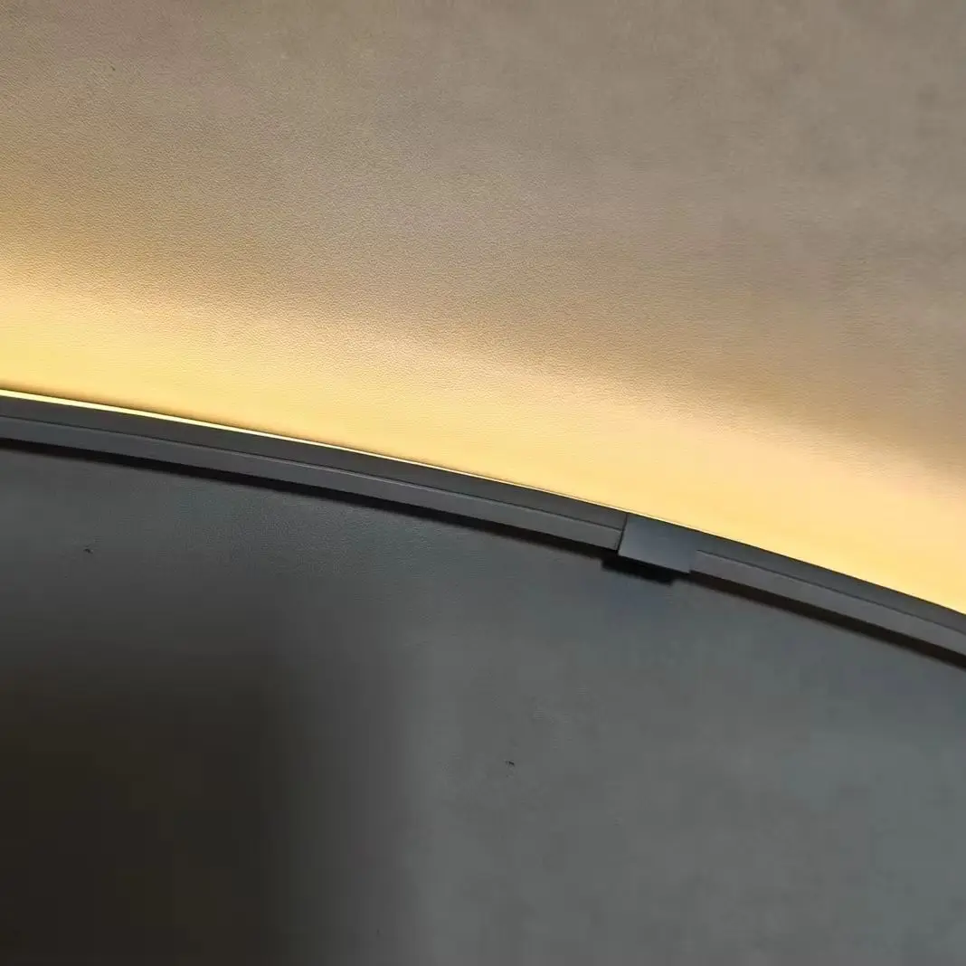 IP65 Waterproof D24V SMD2835120LEDs Per Meter 1010 Pure Silicone Flexible Neon LED Strip Light