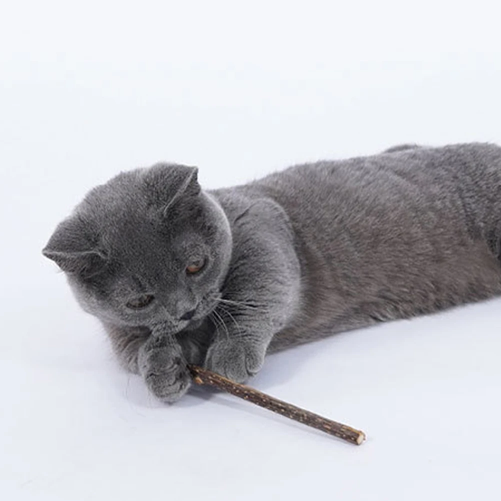 

Indoor Herb Cat Teeth Cleaning Treats for Cats Teething Stick Molar Natural Catnip Snack