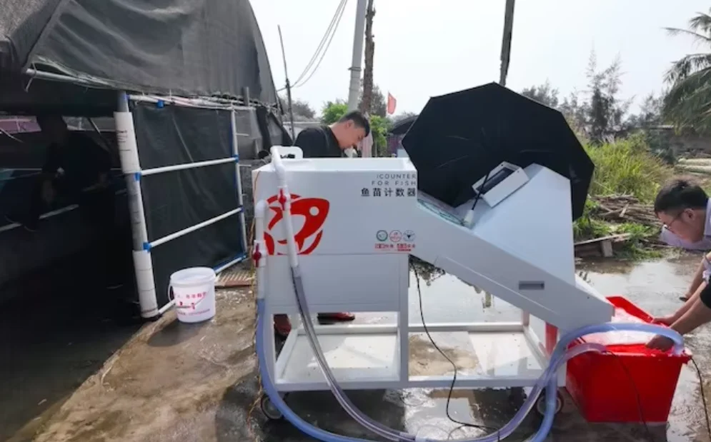 Low-Priced Automatic Fish Counter for Fish Aquaculture Good Use with Intelligent Analysis Other Agricultural Machinery Equipment