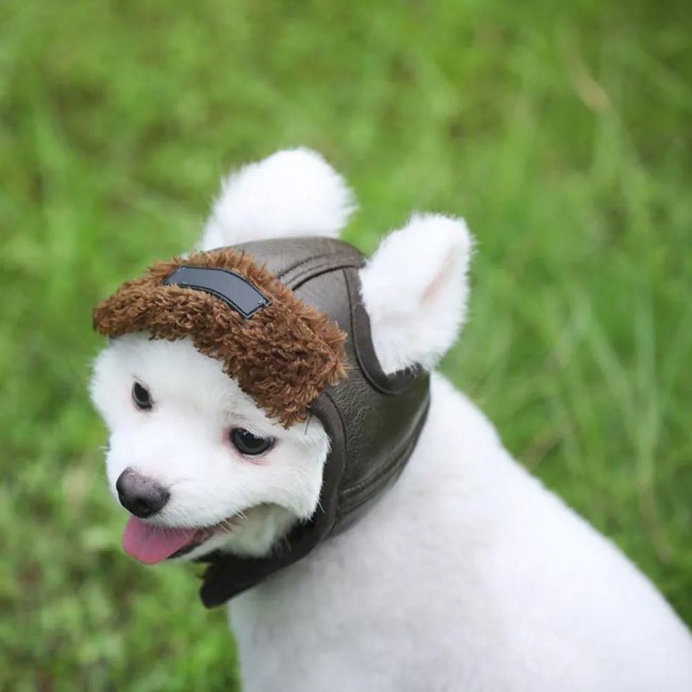 

Pet Costume Creative Pet Show Costume Pet Creative Pet Costume
