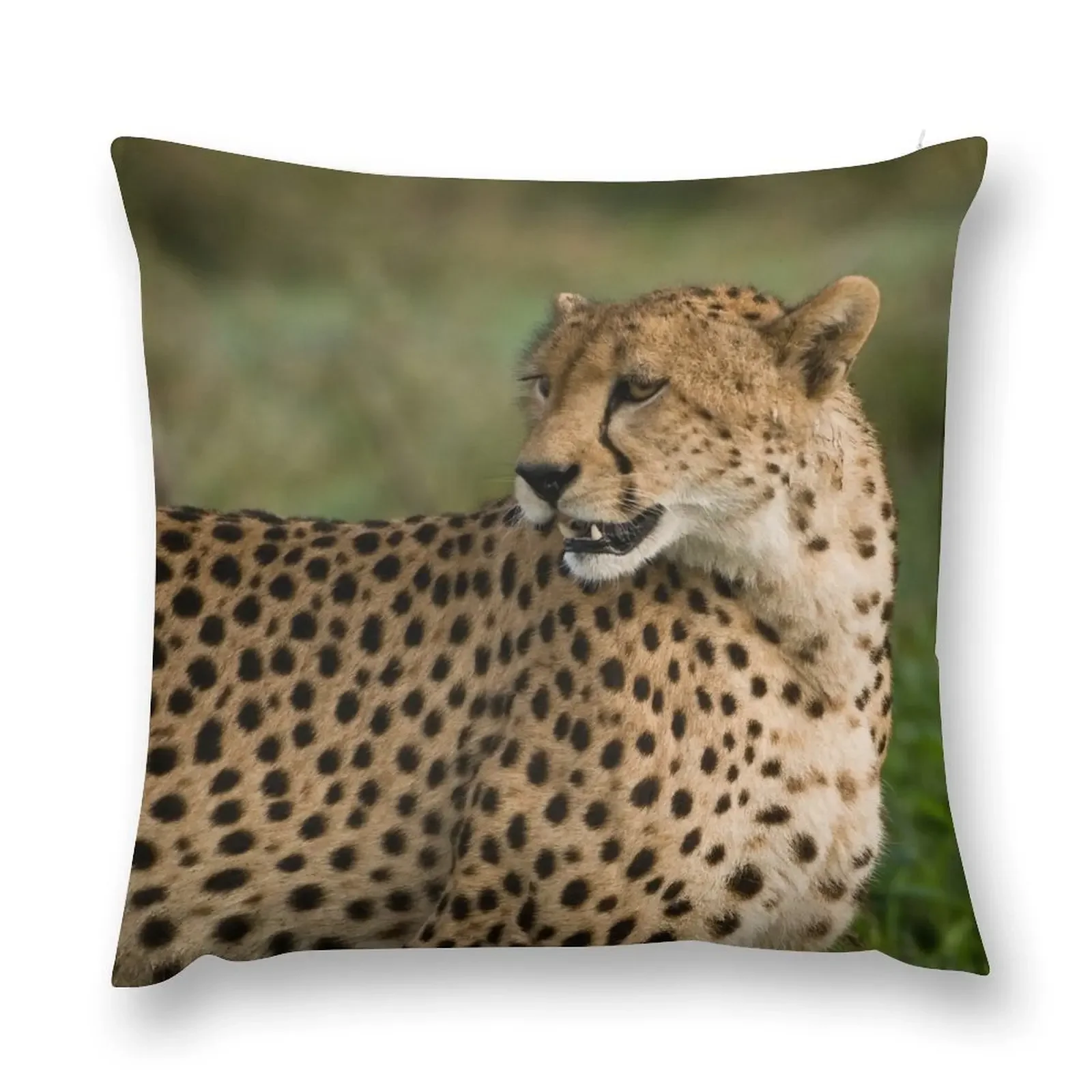 Cheetah in Tanzania, Africa Throw Pillow Decorative Cushions pillow