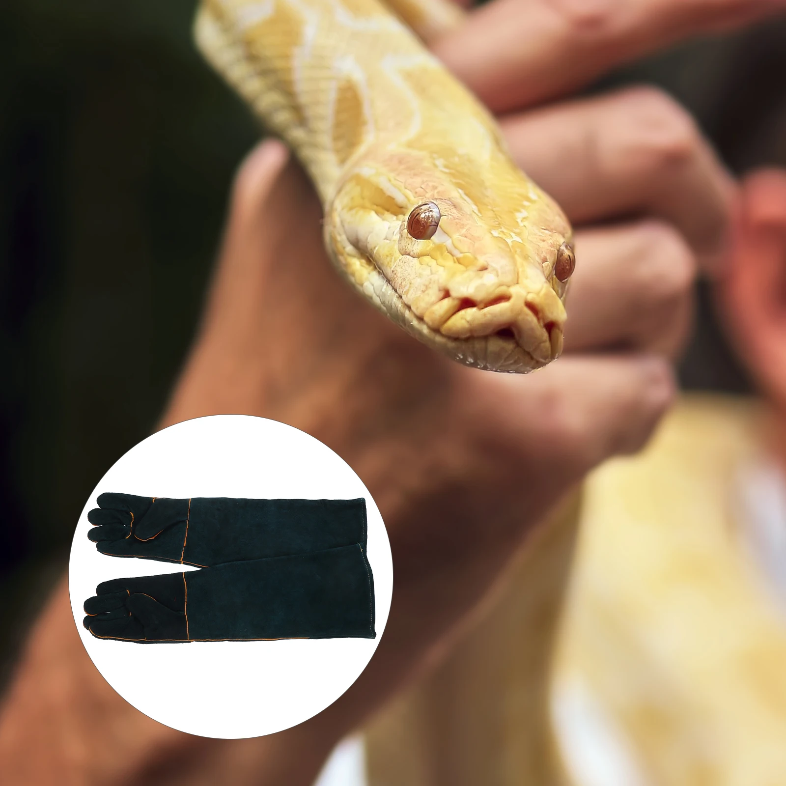 

AntiBite Gloves Durable Material Cowhide Resistant Work Thickening PetFeeding Supplies SnakeProof Ergonomic Safety