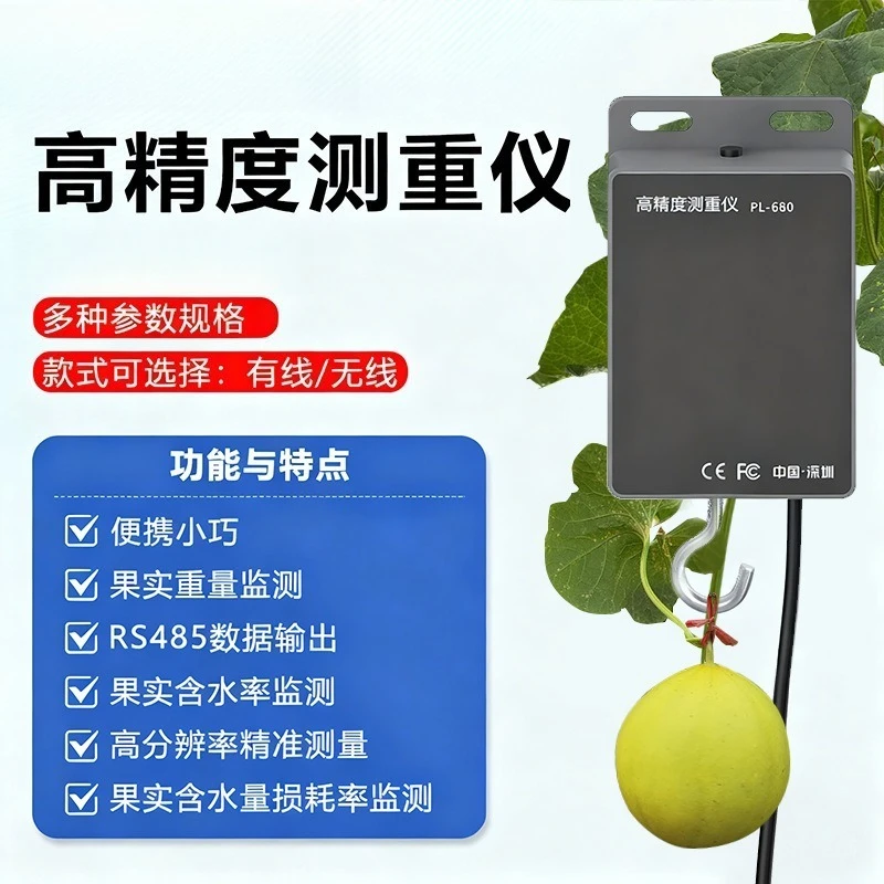 High-precision Weightmeter for Fruit Water Loss Monitoring and High-resolution Fruit Weight Measurement