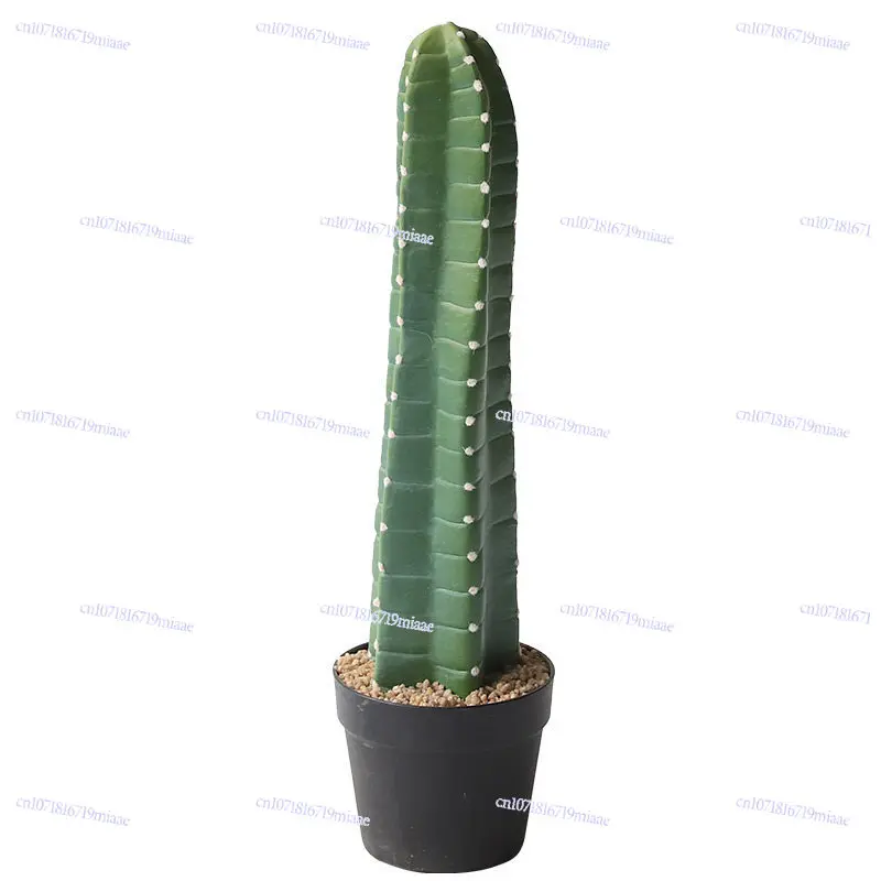 

Human column green plants potted plants window decoration tropical desert cactus plant landscaping cactus ornament