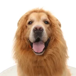 New Pet Products Golden Retriever Dog Cat Funny Act Cute Wig Lion Hood Hat