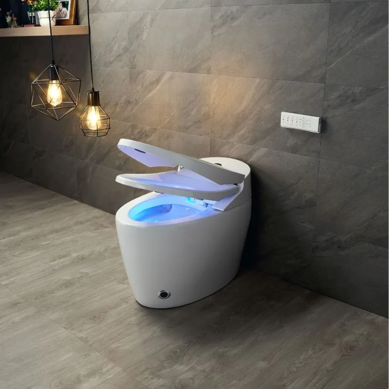

Integrated instant toilet siphon electric toilet mute