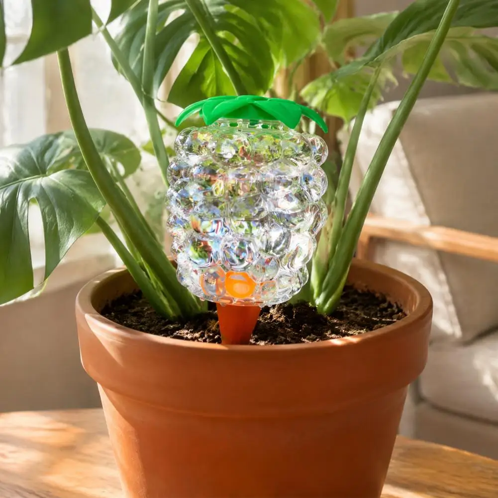 Slow Release Water Spikes Automatic Plant Watering Bulb Set Grape Shaped Self Watering Globes with Spikes Indoor Potted Plants