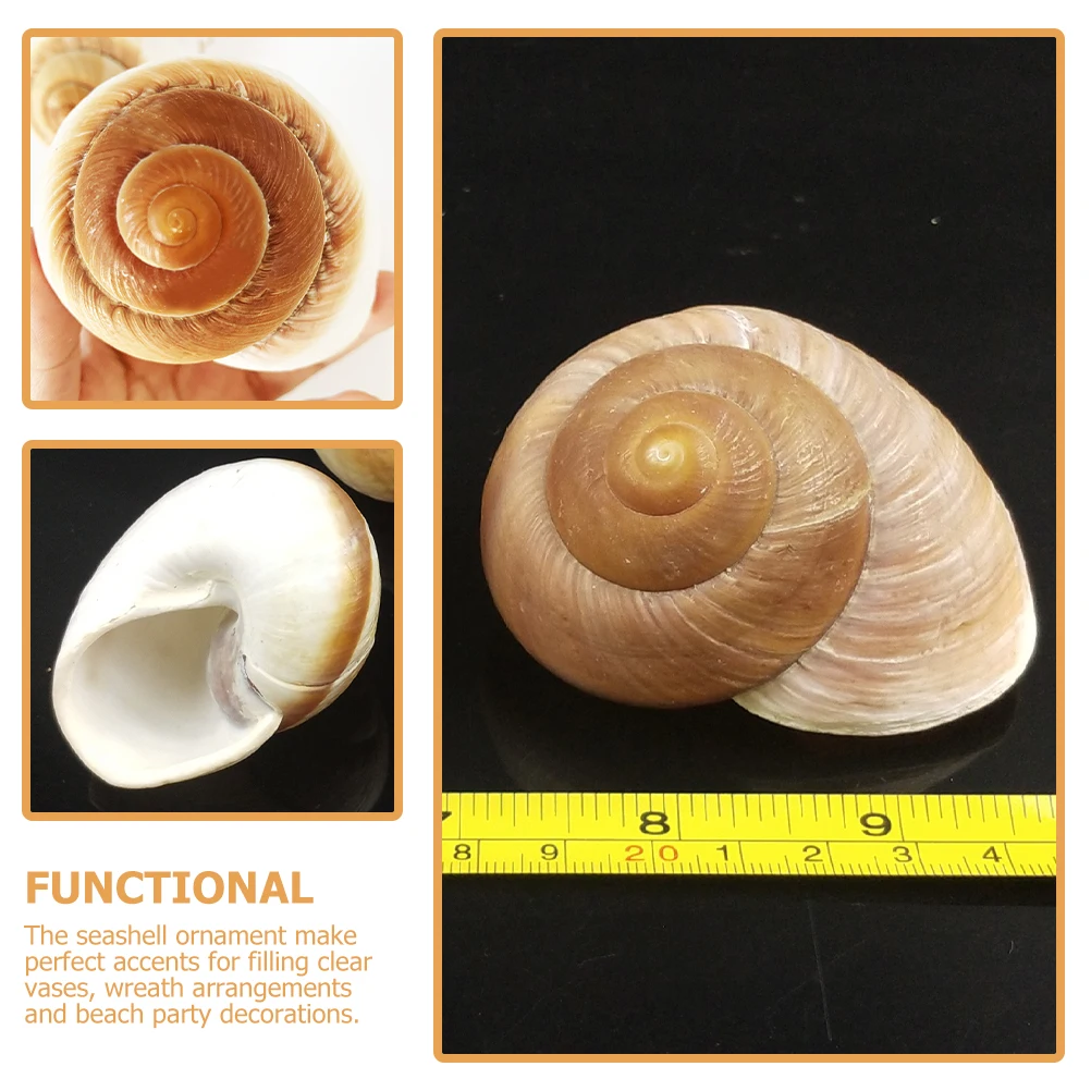 

2Pcs Decorative Conch Shell Adorns Natural Visual Feeling Home Aquarium Craft DIY Decoration Shells for Crafts