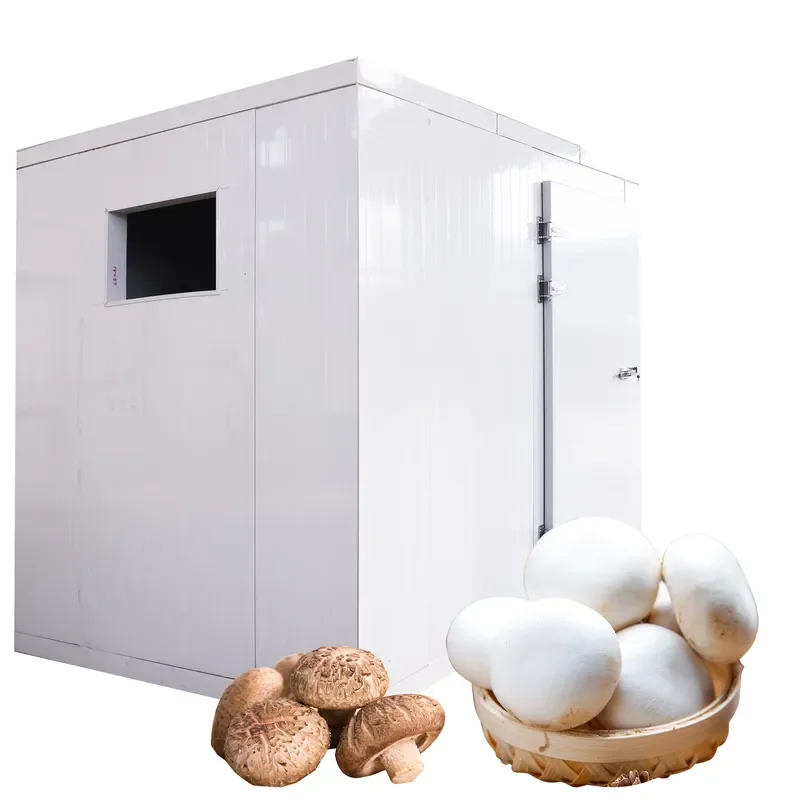 Wine Cellar Cold Room - Constant Temperature & Humidity, Professional Storage