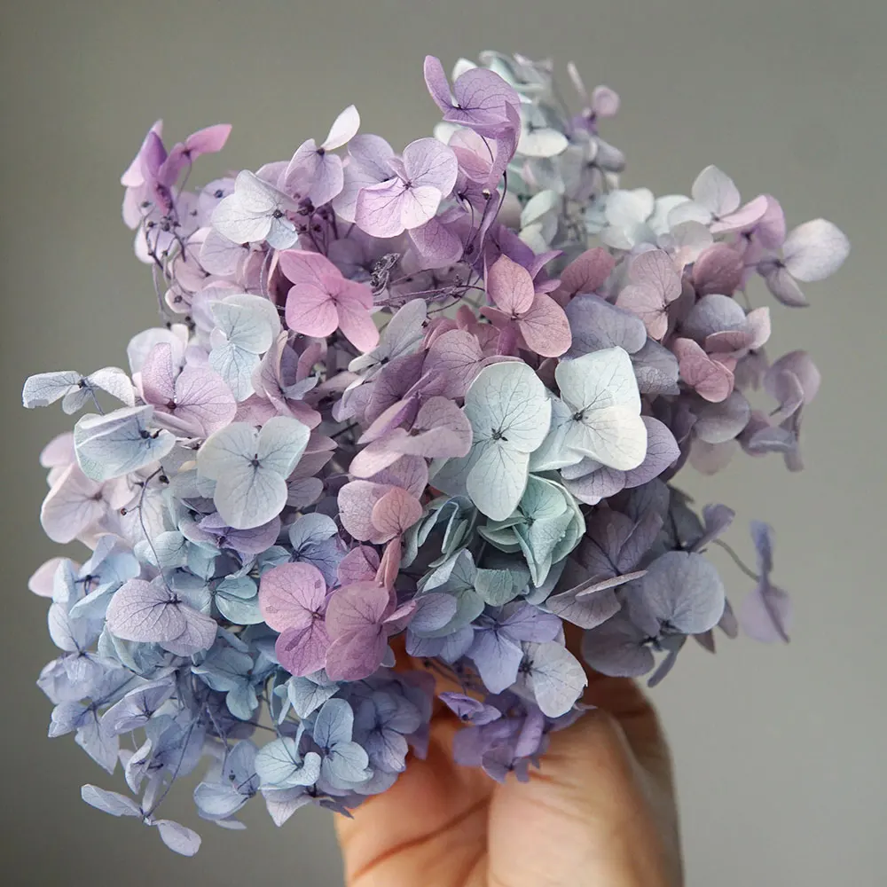 Gradient Color Preserved Hydrangea Home Decoration Wedding Decoration Small Leaf Anna Hydrangea Epoxy Handmade DIY Material