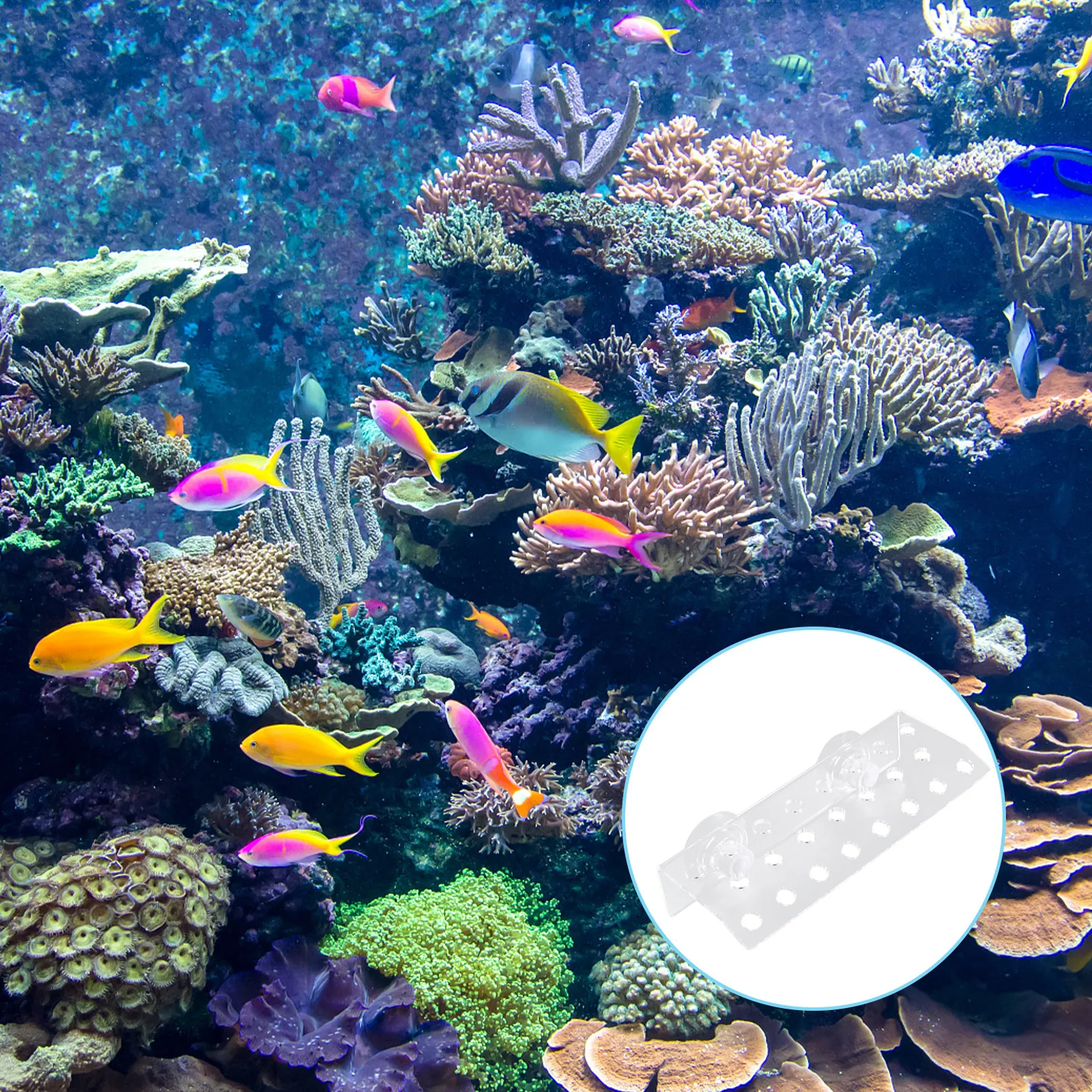 

Акриловая подставка для кораллов на 23 отверстия, изогнутая конструкция, для крепления на аквариум, с мощной присоской