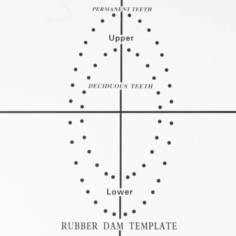لوحة لكمة ختم مطاطي ، مواد طب الأسنان ، قالب تحديد موقع الحاجز ، لكمة الكافور ، المواد الاستهلاكية عن طريق الفم