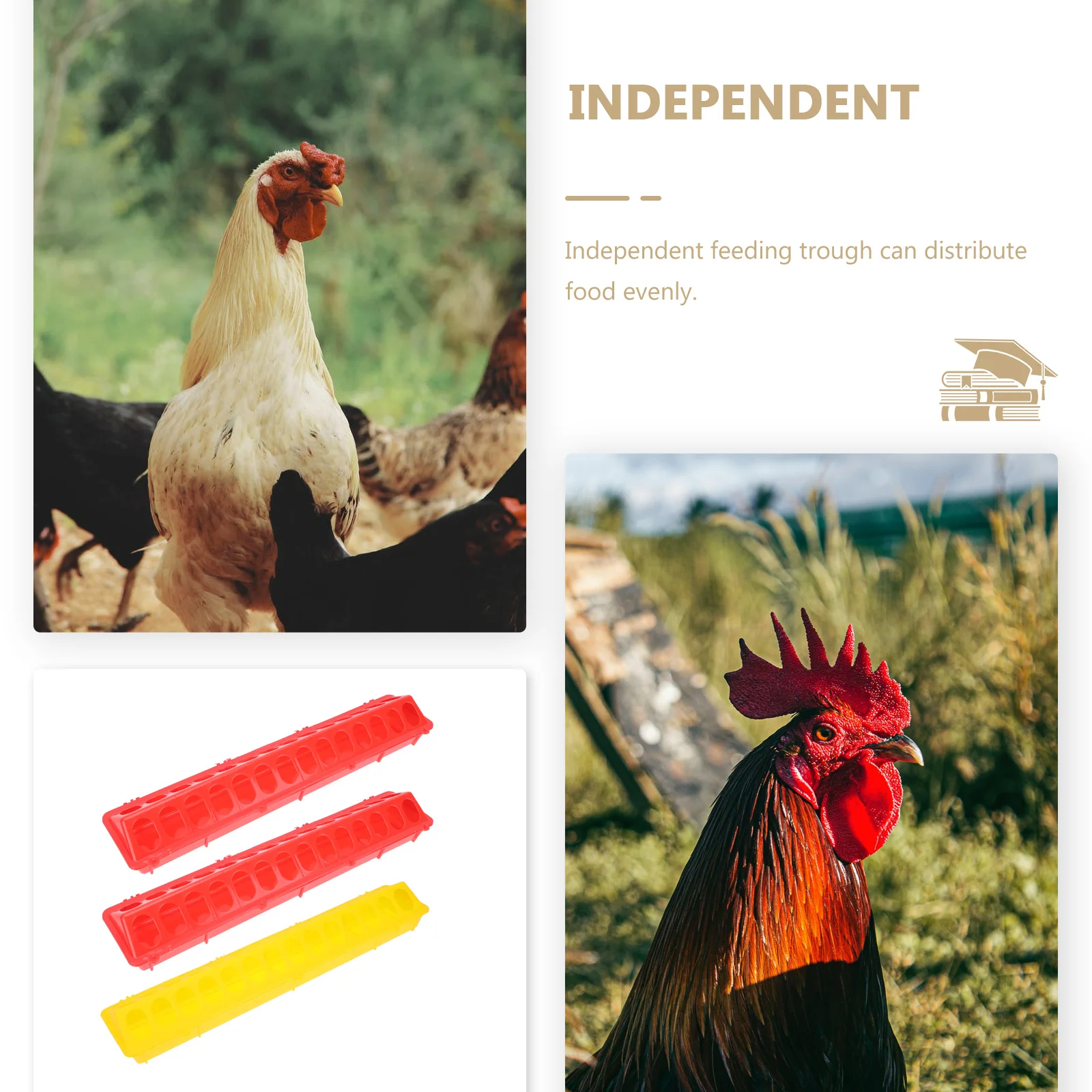 

3 pcs Pigeon Feeding Trough 2Red 1Yellow 500x125x80mm Durable Plastic Feeder Supplies Pet Accessories