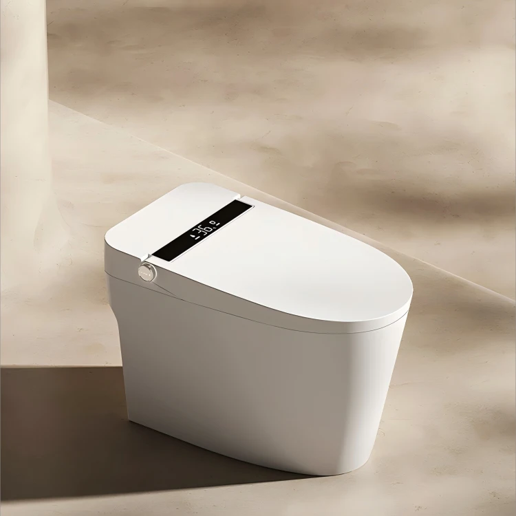 Household Hotel Bathroom Elongated Bidet Ceramic Automatic Smart Electric Toilet with Remote Control and Sanitary Features