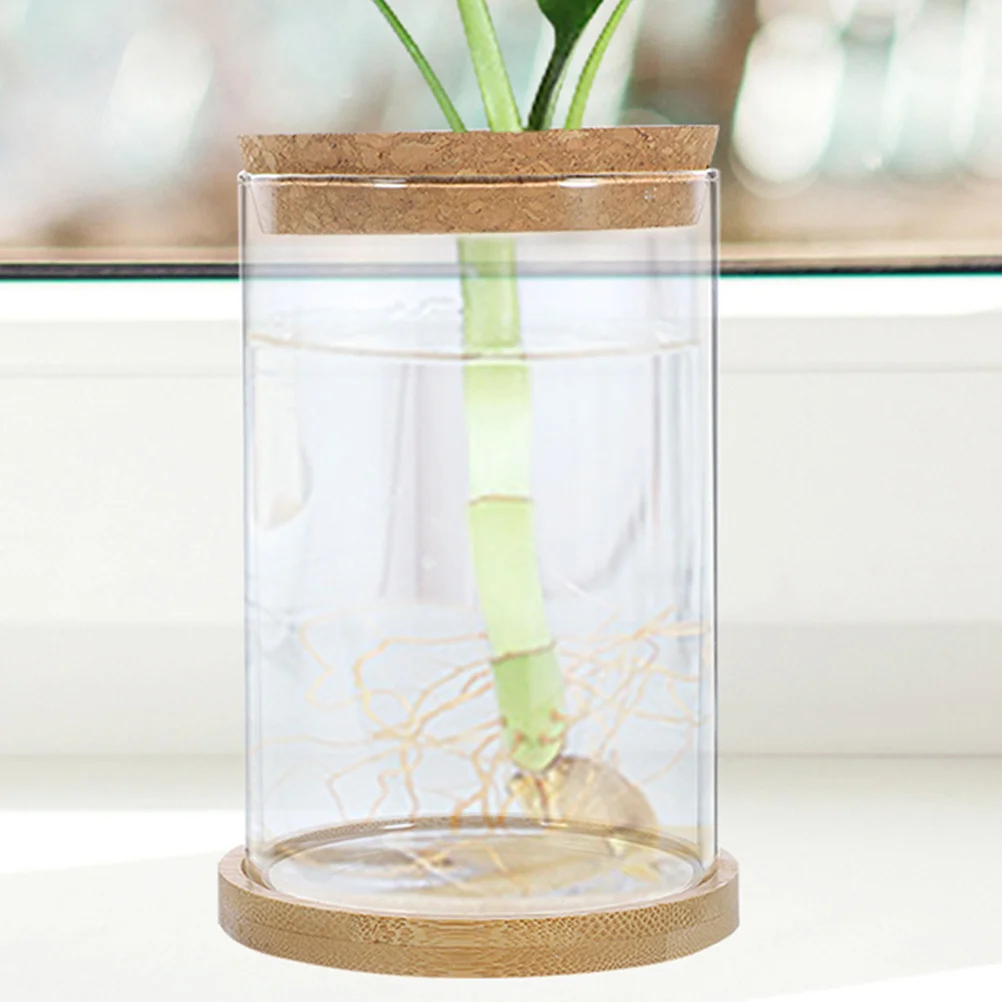 

1 set Glass Terrarium Bottle With Cork Stopper Multi-Functional Diy Ecological Container For Home Office Decor Plant Terrarium