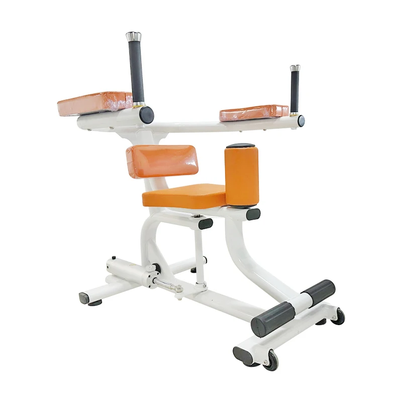 Commercial Rehabilitation Fitness Equipment Hydraulic Cylinder Torso Rotation Machine Abdominal Waist Twisting Trainer