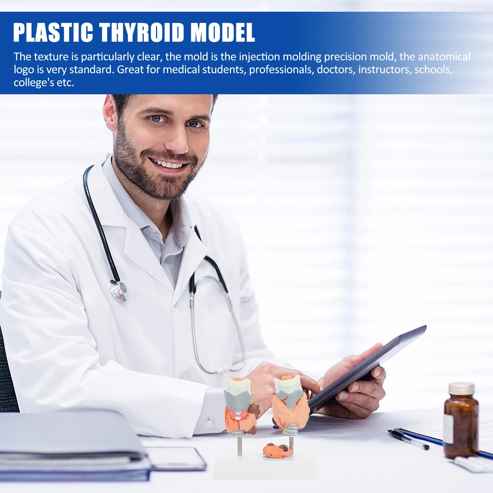 Model Patologi Tiroid Model Pengajaran Model Anatomi Model Sistem Endokrin Model Patologi Plastik Model Tiroid Plastik