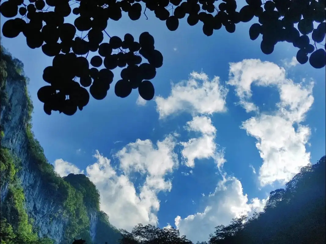 

1/14 RC Racing Wheels Tires Metal Wheel Rims Hub12mm Hex for RC On Road Car Tamiya TT01 TT02 XV01 XV02 PTG-2 HSP HPI Kyosho