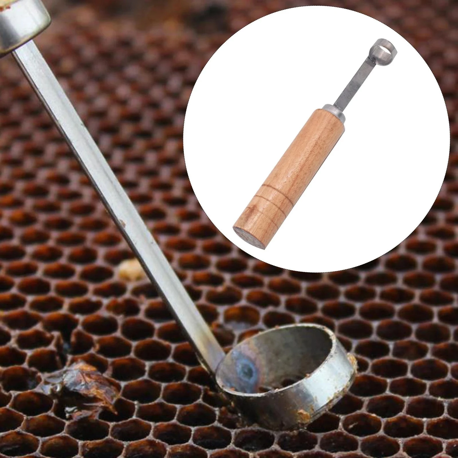 Beekeeping BeeHive Tools Beehive Cleaning Scraper Functional Honey Remover Beekeepers Supplies for Beekeeper Garden Equipment