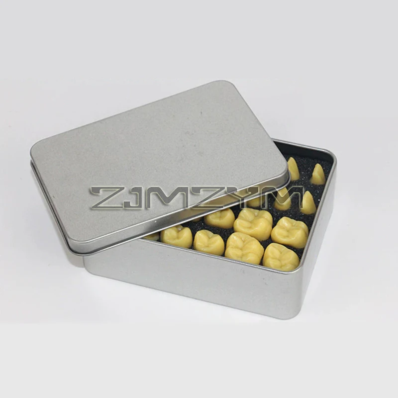 1.2 Times Carved Teeth Teaching Model Comparison Carving Tooth Model Dental Student Practice Study Tools