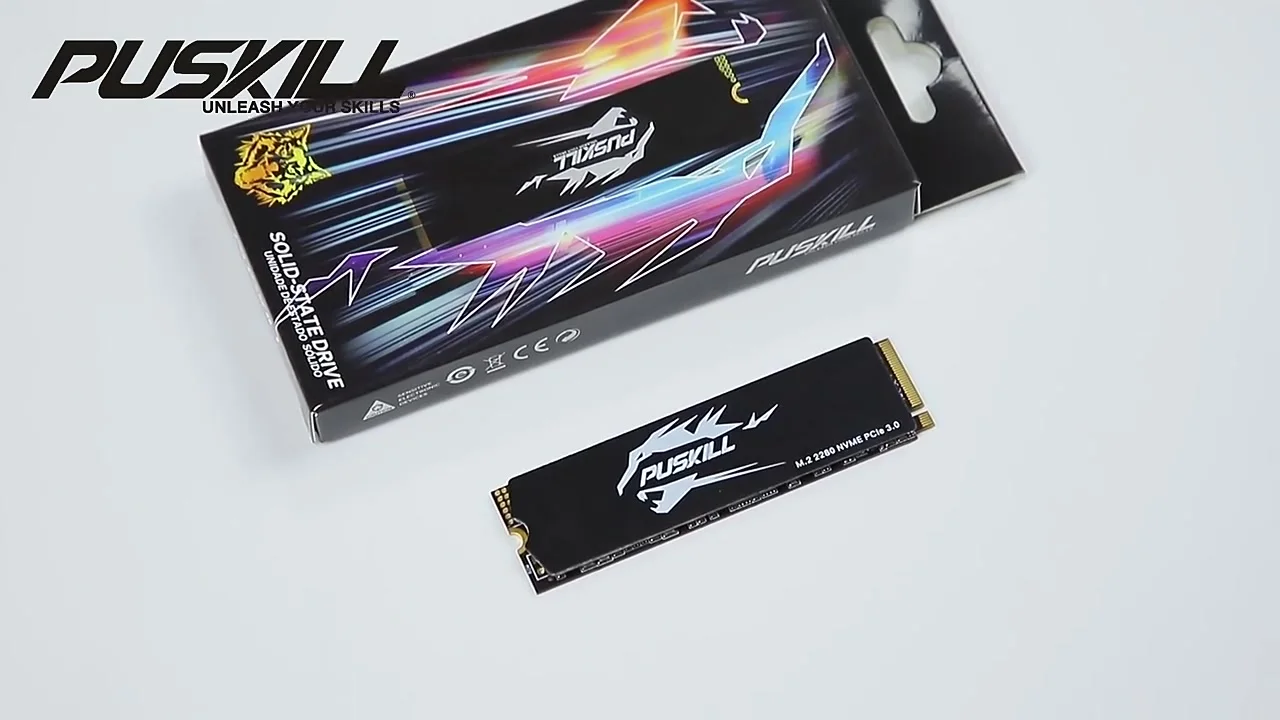 PUSKILL SSD M.2 NVMe 1TB 512GB 256GB 128GB PCIe M2 2280 Hard Disk